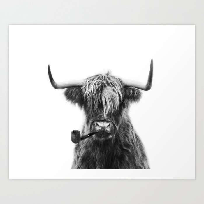 Mr Highland cattle Art Print