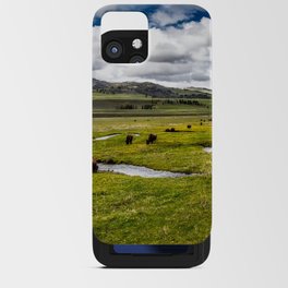 Yellowstone, Home on the range, American buffalo / bison grazing in spring fields of green river prairie landscape color photograph / photography iPhone Card Case