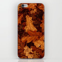 Colors of Fall iPhone Skin