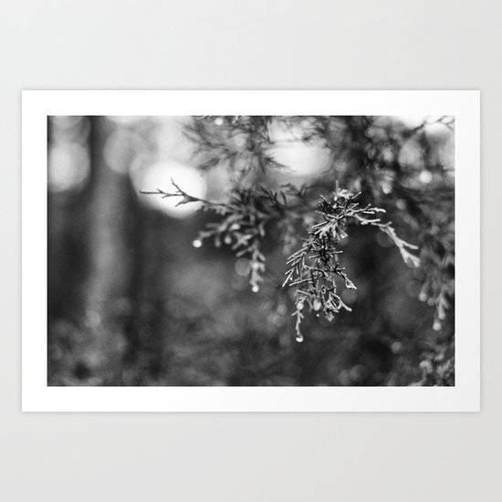 In the Morning, When It Rains Art Print