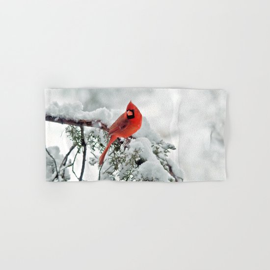Cardinal on Snowy Branch #2 Hand & Bath Towel