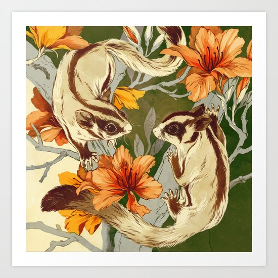 Sugar Gliders Art Print