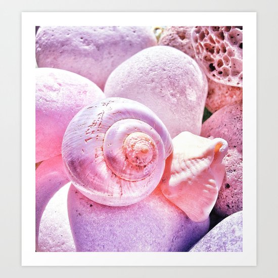 Shells and Stones Art Print