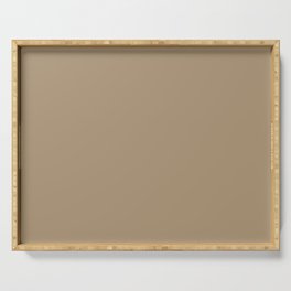GENTLE BROWN SOLID COLOR. Plain Taupe  Serving Tray