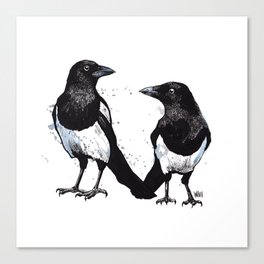 Magpies Canvas Print