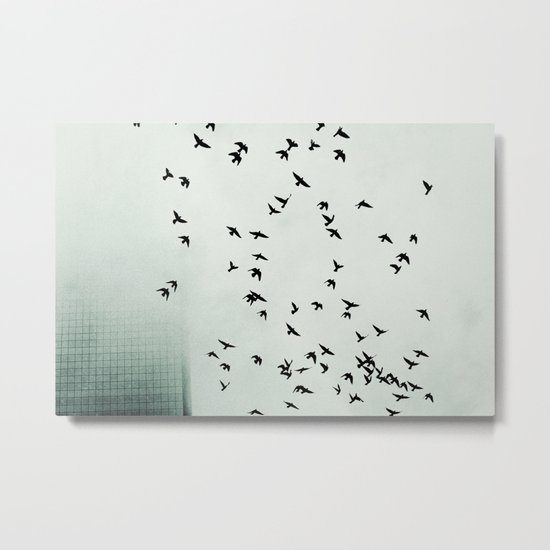 Fog and Feathers Metal Print
