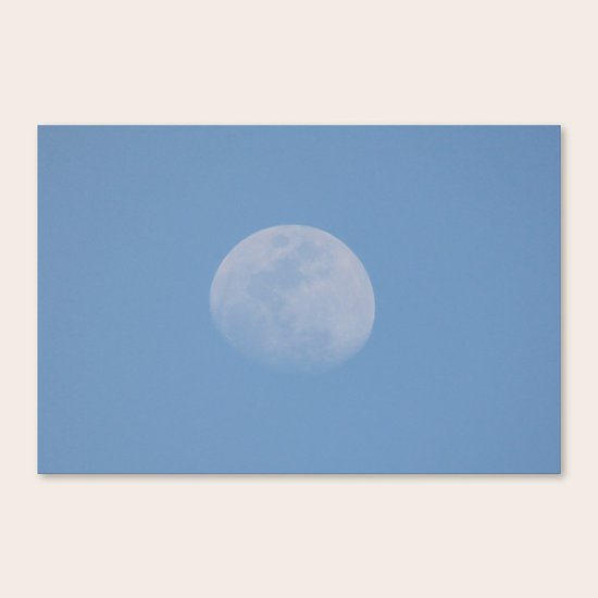 Luna Canvas Print