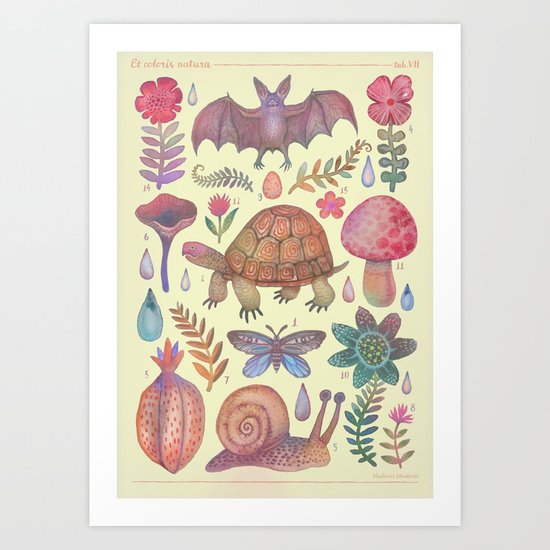 Et coloris natura VII Art Print