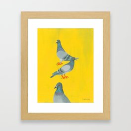 Pigeons Framed Art Print