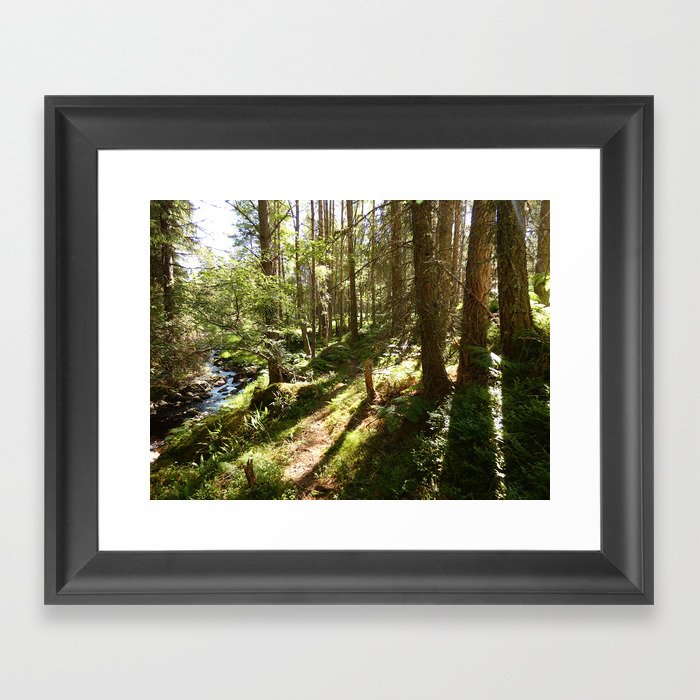Playing in the Woods Framed Art Print