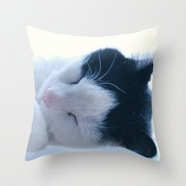 Sleepy Kitty Throw Pillow