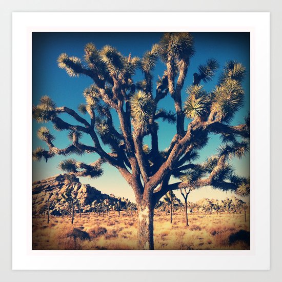 Joshua Tree Art Print