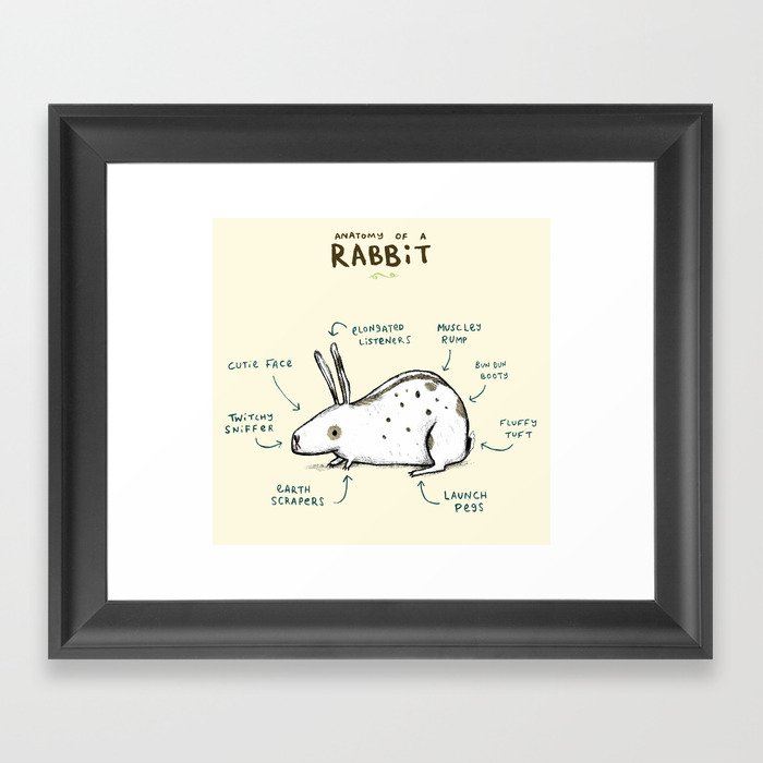 Anatomy of a Rabbit Framed Art Print