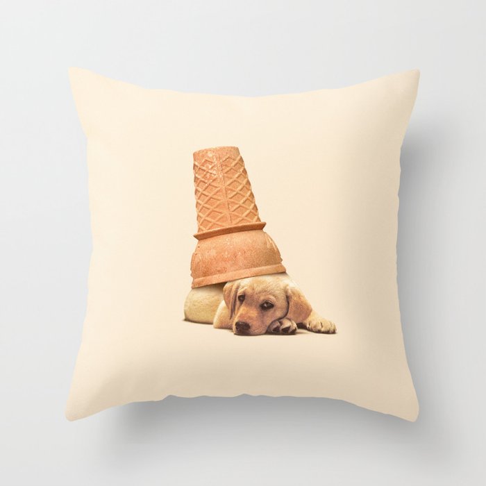 Throw Pillow