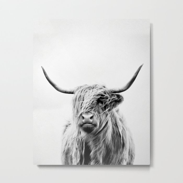 portrait of a highland cow - (vertical) Metal Print