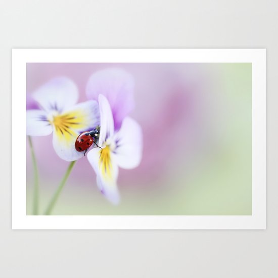 Ladybird... Art Print