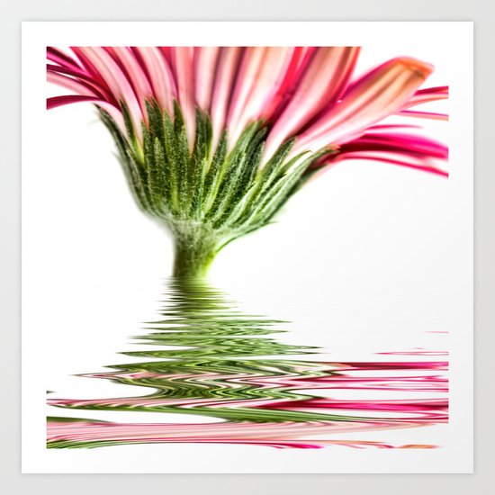 Pink Gerbera Flood 4 Art Print