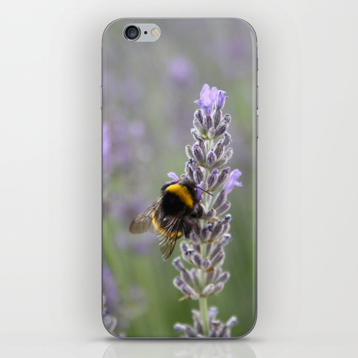 Bumblebee On Lavender Close Up Photograph iPhone Skin