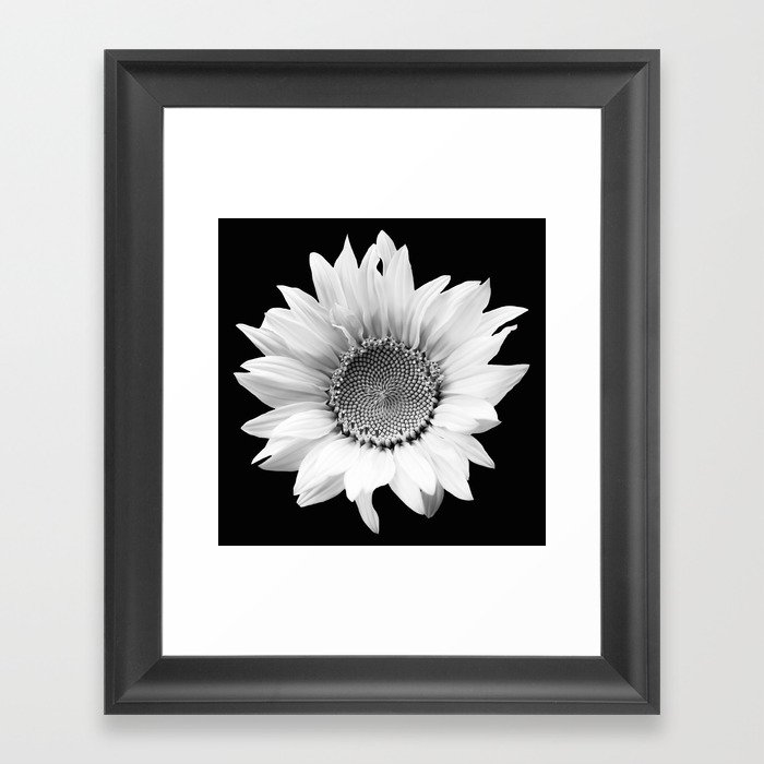 Sunflower In Black And White #decor #society6 #buyart Framed Art Print