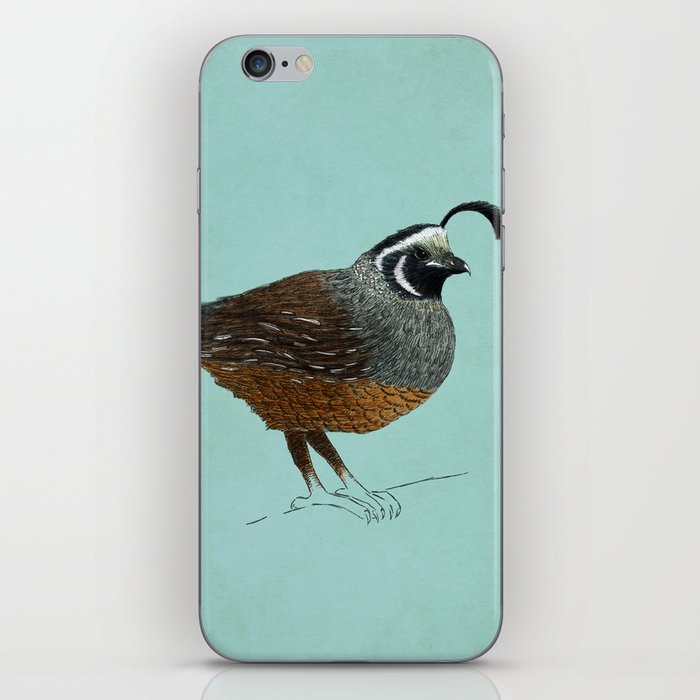 Quail iPhone Skin