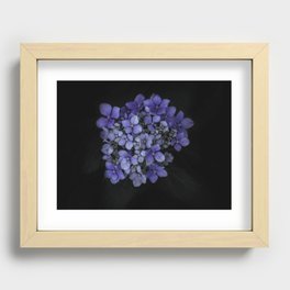 Blue Hydrangea Recessed Framed Print