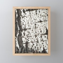 Birch bark tree Framed Mini Art Print