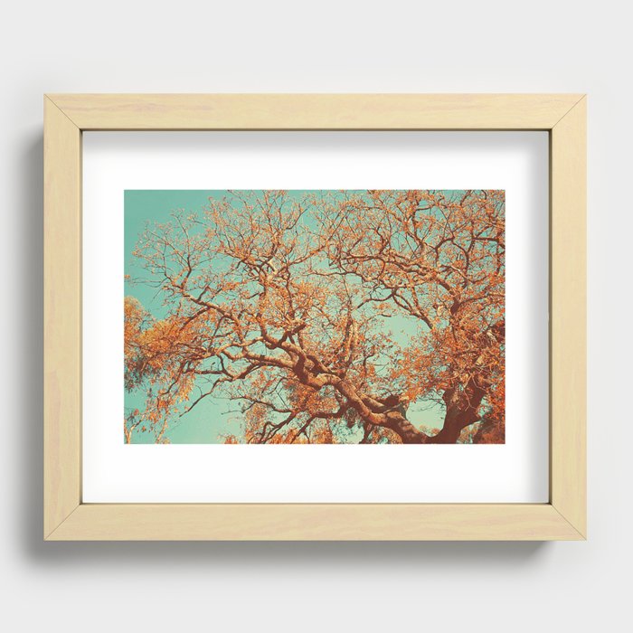 Orange. Recessed Framed Print