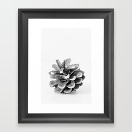 Winter Pine Cone  Framed Art Print