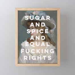 Sugar and Spice and Equal Fucking Rights - Feminist Framed Mini Art Print