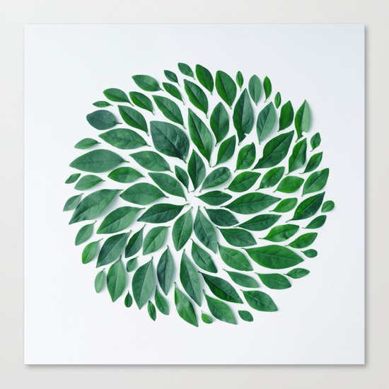 tropical star Canvas Print
