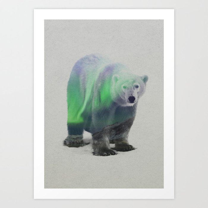 Discover the motif POLAR BEAR IN THE AURORA BOREALIS by Andreas Lie as a print at TOPPOSTER