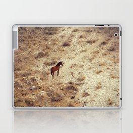 Horse in Santorini Laptop & iPad Skin
