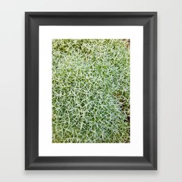 Garden Greenery for All Over Print Framed Art Print