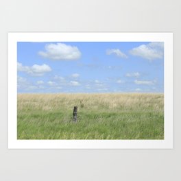 Prairie  grass with fence and blue sky and clouds Art Print | Grass, Clouds, Blue, Rural, Field, Photo, Colorful, Wire, Brown, Green 