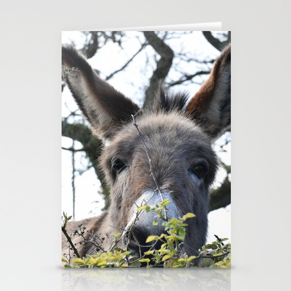 Peek-a-boo Donkey Stationery Cards