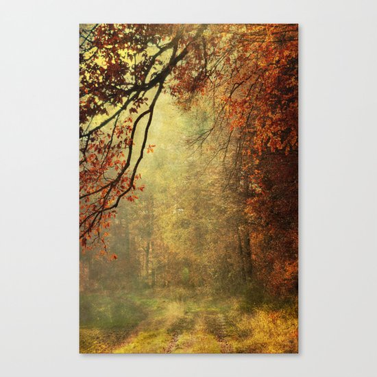 forest glade Canvas Print