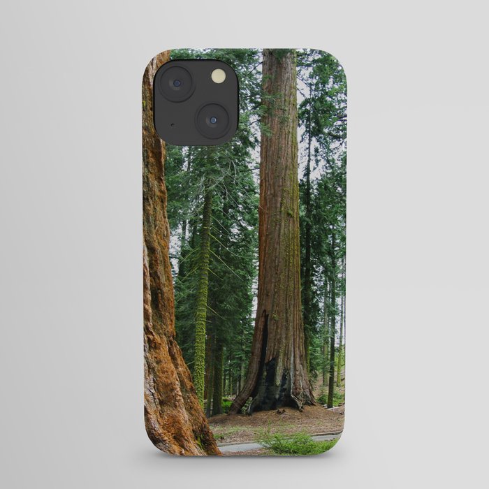 Sequoia Trees, McKinley Grove, California iPhone Case