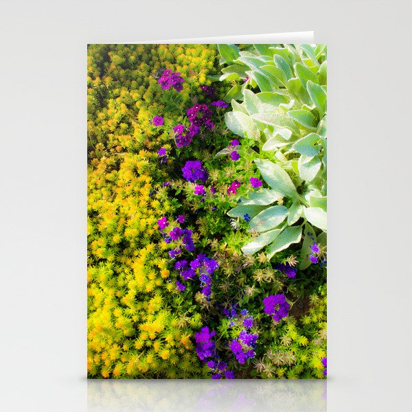 Flowers, Succulents, and Lamb's Ear Stationery Cards