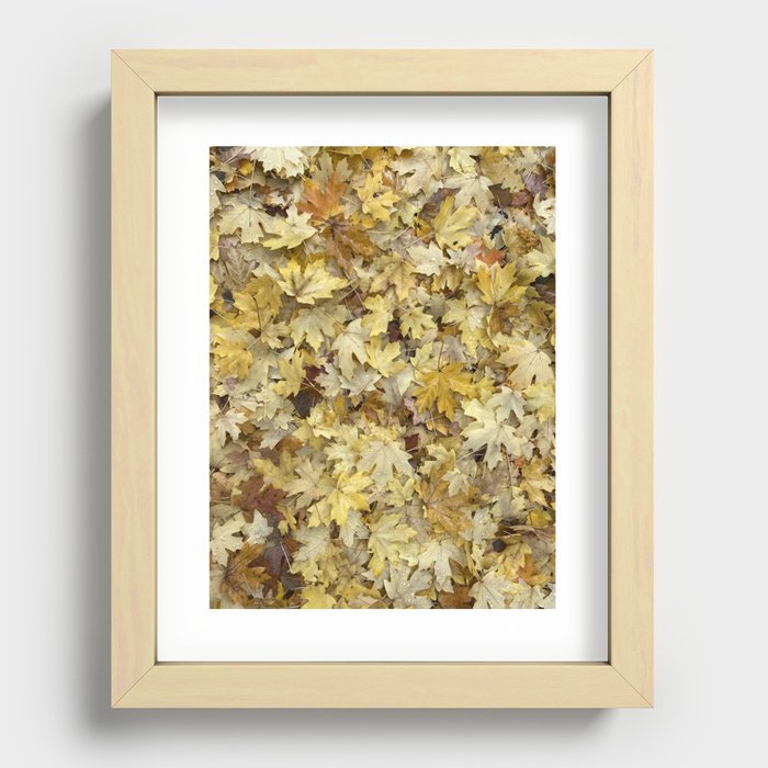 Fall Leaves 1 Recessed Framed Print