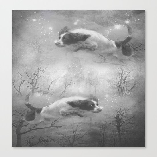 "Springer" Canvas Print