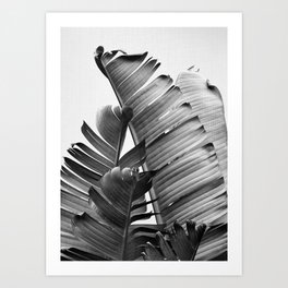 Banana Leaves - Black & White Art Print