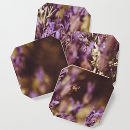 honey bee and french lavender Coaster