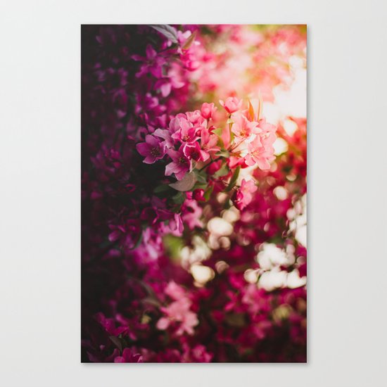 Beauty of Spring II Canvas Print