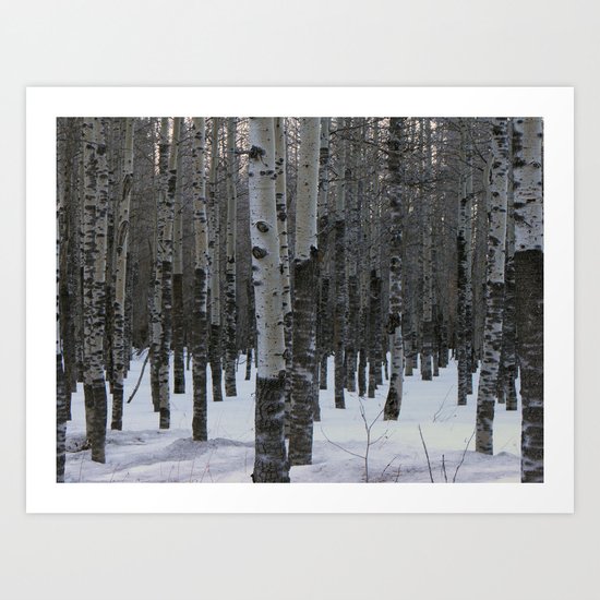 Whispering Aspen Art Print
