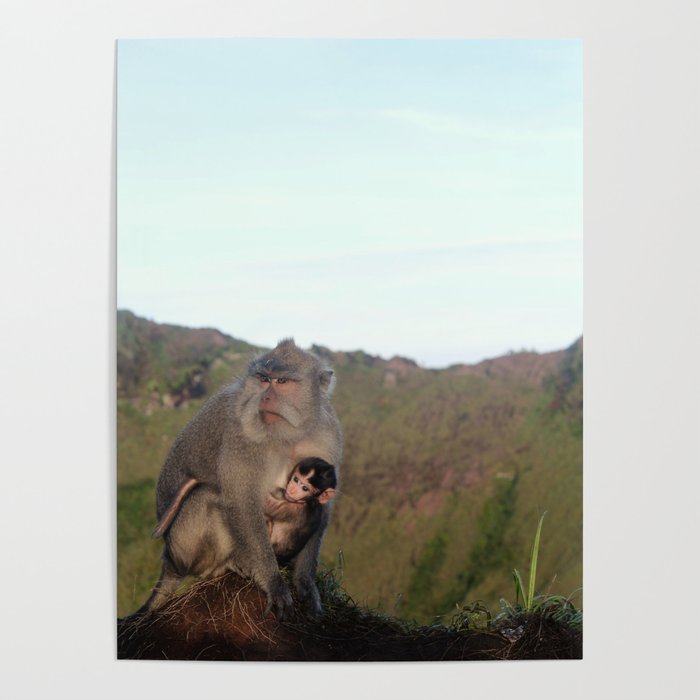 Mountain Monkey Poster