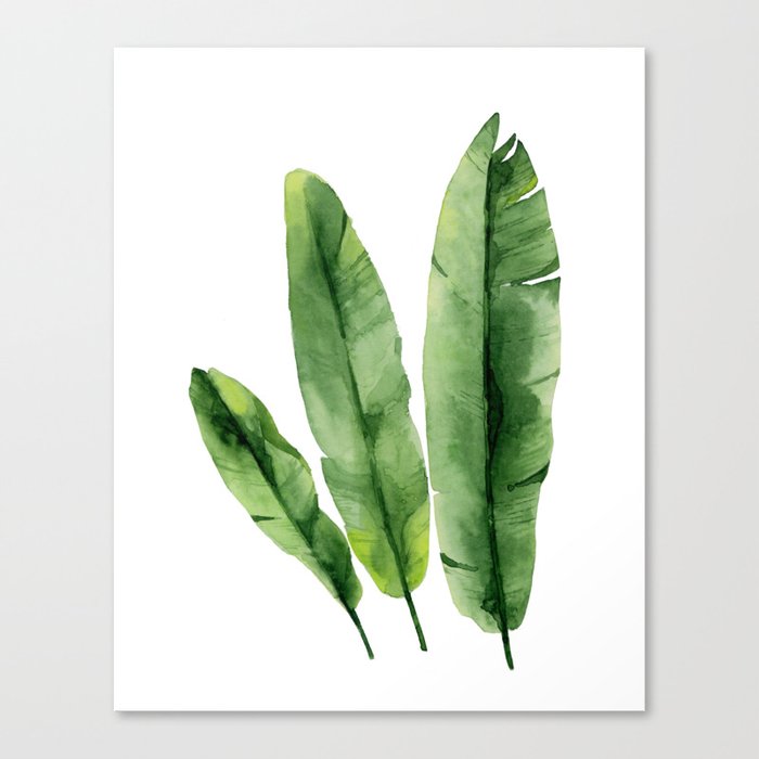 Banana Leaves Canvas Print By Asolo Society6