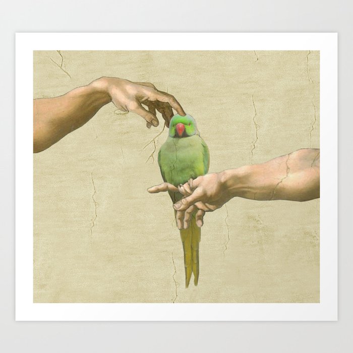 scritching a green indian ringneck #full Art Print