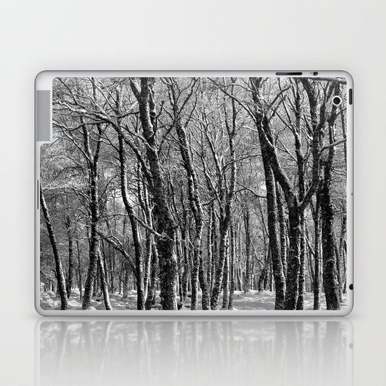 Snow Laden Birch Trees in Black and White Laptop & iPad Skin