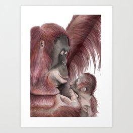 Orangutan Wild Mama Art Print