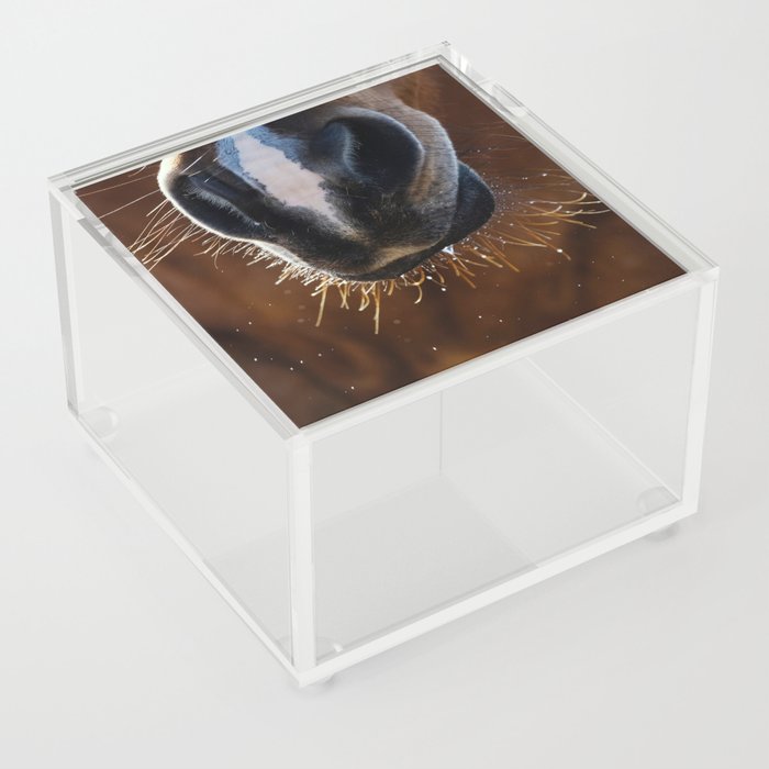 Horse Whiskers Acrylic Box